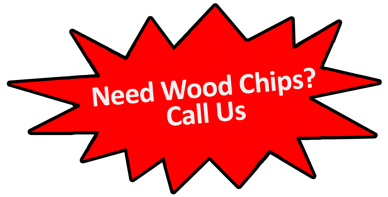 1761663872_Untitled-1